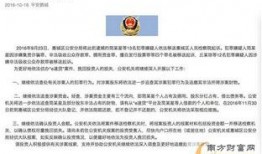 枞阳黑粉爆料案件最新,真相与网络暴力的双重审视