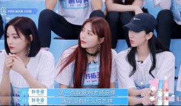 娱乐大爆料 刘雨昕小说,刘雨昕小说中的璀璨星途