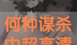 何种谋杀手机在线观看,揭秘手机背后的惊悚谜案