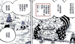 海贼王白胡子最新爆料,海贼王世界新篇章的惊天秘密