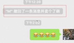 爆料的新闻还能够撤回吗,揭秘撤稿背后的真相