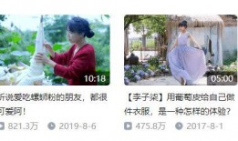 爆料大王李子柒是谁啊视频,视频背后的传奇人生