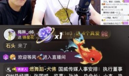 立哥爆料视频,幕后真相大曝光！