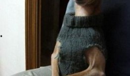 今日搞笑爆料图片高清,高清还原爆笑瞬间