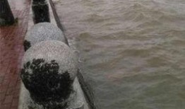 新闻爆料台风,全力守护家园安全”