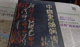 香港足浴店爆料视频大全,揭秘行业内幕与真实故事