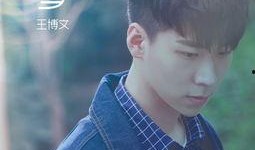 娱乐爆料王博文