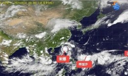 新闻爆料台风,全力守护家园安全”