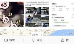 歌手爆料出轨视频大全集,歌手爆料视频大全集揭秘