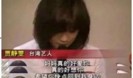 孙志浩爆料贾静雯视频