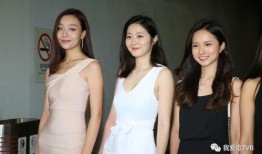 陈小姐深圳最新爆料事件,揭秘事件背后惊人真相