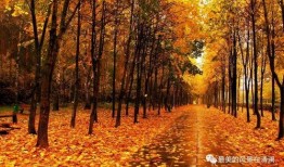 秋天妈妈要努力最新爆料,揭秘育儿路上的奋斗与成长