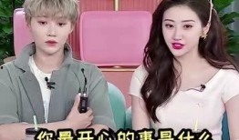 娱乐大爆料 刘雨昕小说,刘雨昕小说中的璀璨星途